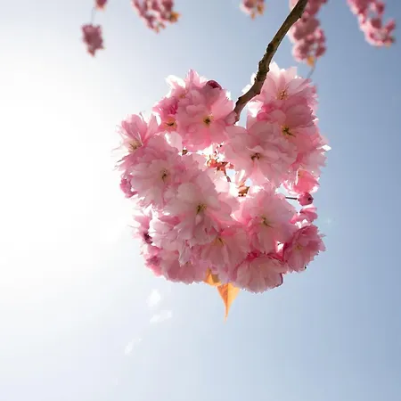 Haus An Der Duene 9 公寓 *